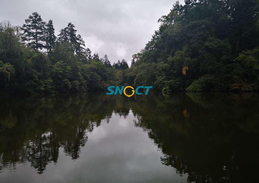 森林營造應(yīng)注意哪些問題？七個方面需引起重視！