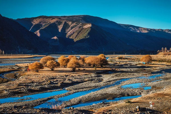 1628653786839550.jpeg 折多山.jpeg